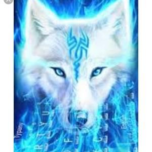 Meet your Posher, Bryan